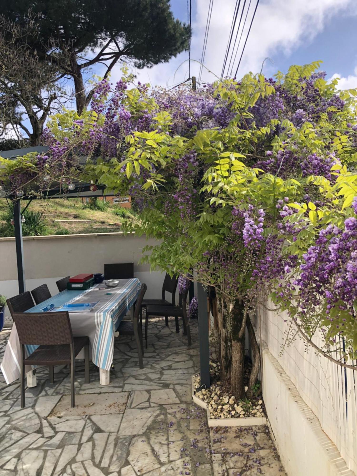 Charmante Petite Maison Typique Royan Juillet Location Minimum 7 Jours Pas De Court Sejour Saint-Georges-de-Didonne Εξωτερικό φωτογραφία